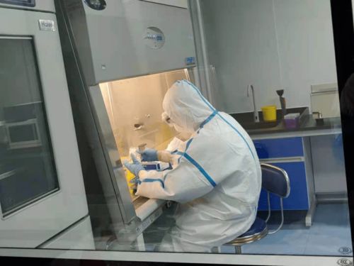 请党放心,强国有我